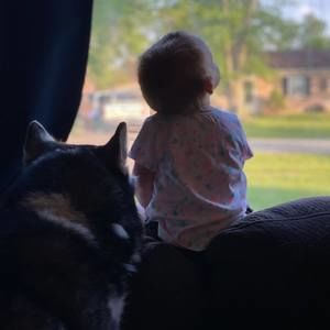 Meet your Posher, Shelby